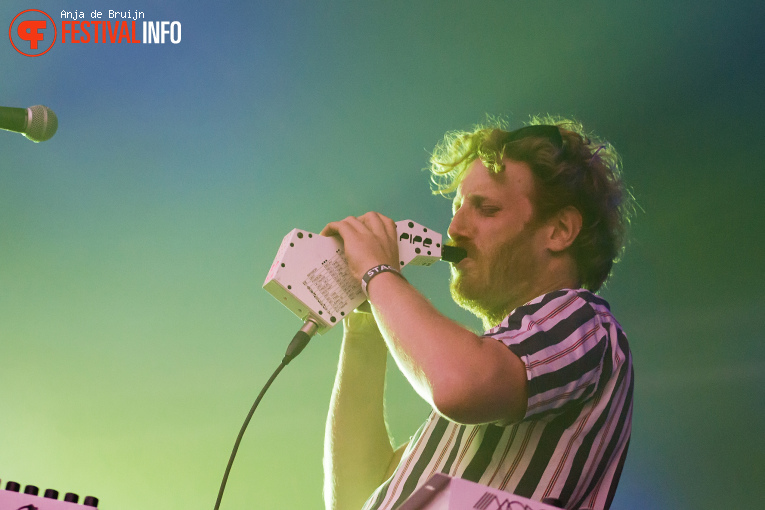 Lézard op Waterpop 2025 foto