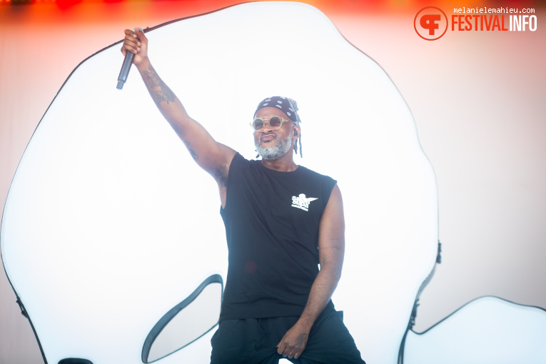 Saïan Supa Celebration op Paléo 2025 foto