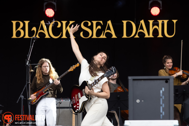 Black Sea Dahu op Paléo 2025 foto