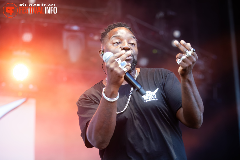 Saïan Supa Celebration op Paléo 2025 foto