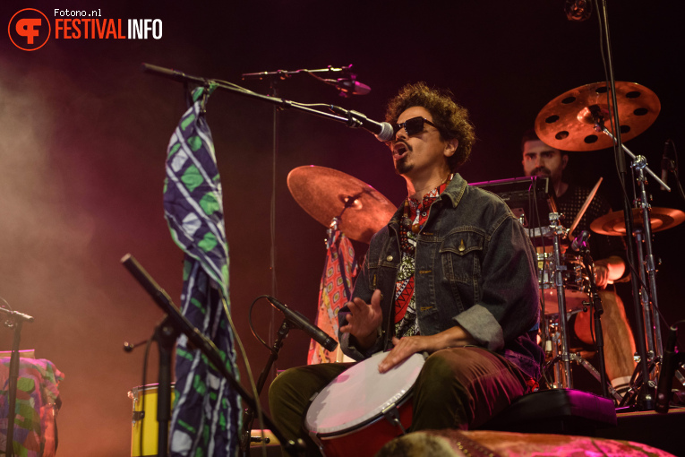 Raúl Monsalve y los Forajidos op Lowlands 2025 - Zaterdag foto