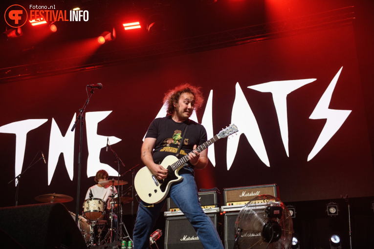 The Chats op Lowlands 2025 - Zondag foto