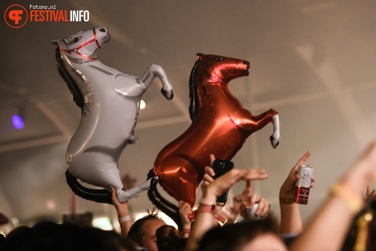 Lowlands 2025 - Zondag foto