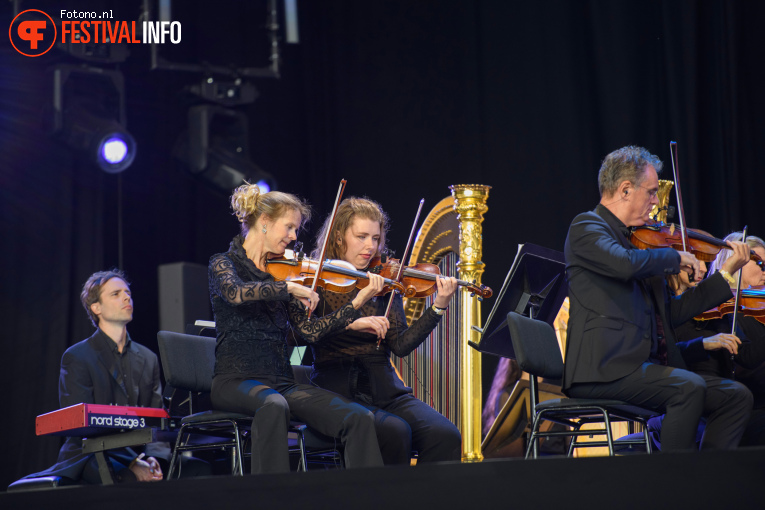 Noord Nederlands Orkest op Lowlands 2025 - Zondag foto