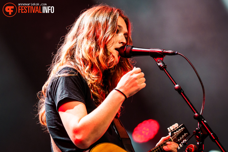 Black Country, New Road op Lowlands 2025 - Zondag foto