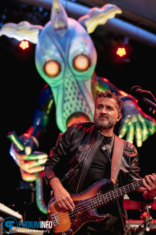 Pink Project op Zuiderpark Live: Pink Project - 08/22 - Zuiderparktheater foto