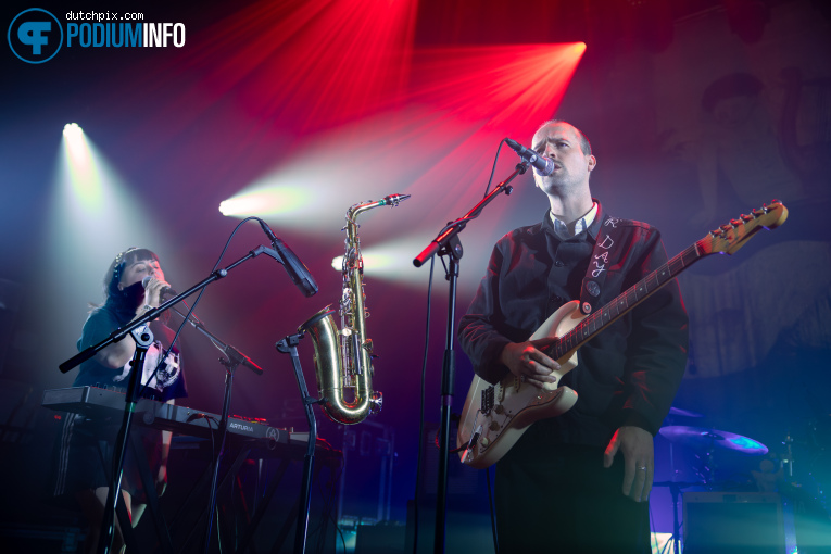 Milan W op DIIV - 07/09 - Paard foto
