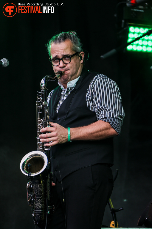 Live In The Park Zwolle 2025 foto