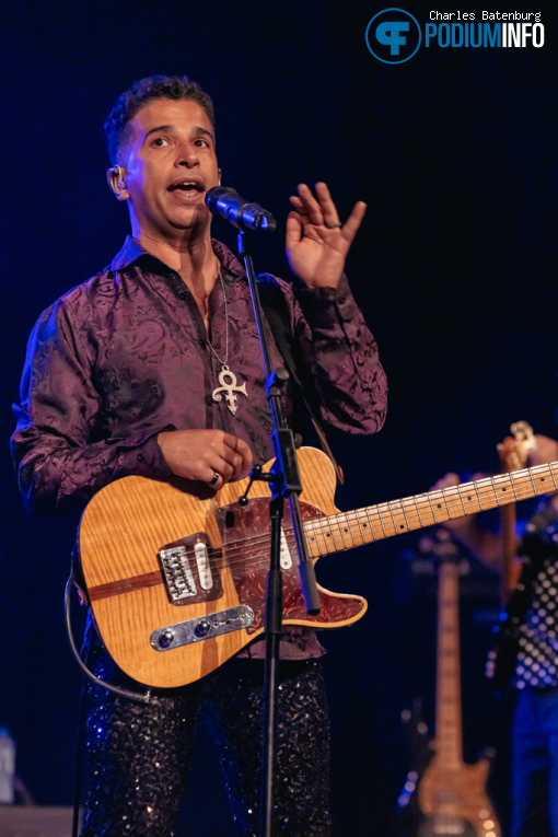New Purple Celebration op Zuiderpark Live: New Purple Celebration - 20/09 - Zuiderparktheater foto