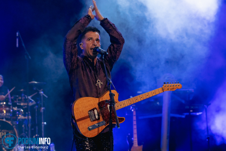 New Purple Celebration op Zuiderpark Live: New Purple Celebration - 20/09 - Zuiderparktheater foto