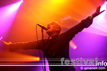 Infadels op Dauwpop 2009 foto