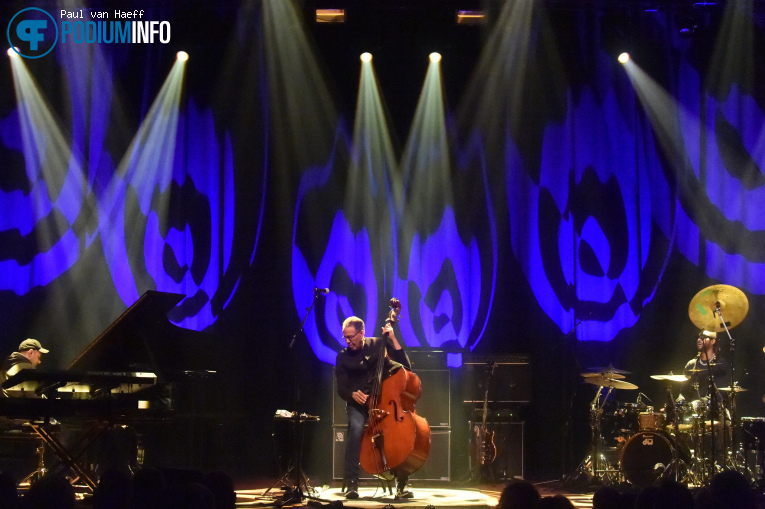 Stanley Clarke Band op Stanley Clarke Band - 18/11 - TivoliVredenburg foto