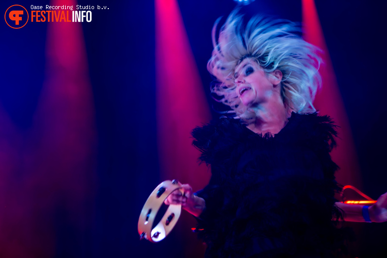 Vive La Fête op Altoooooh! FEST - 29/11 - Luxor Live foto