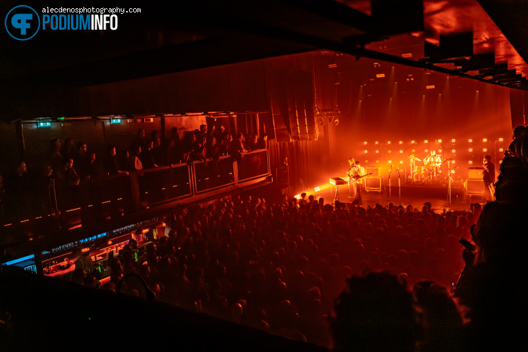 The Vices op The Vices - 20/11 - Paard foto