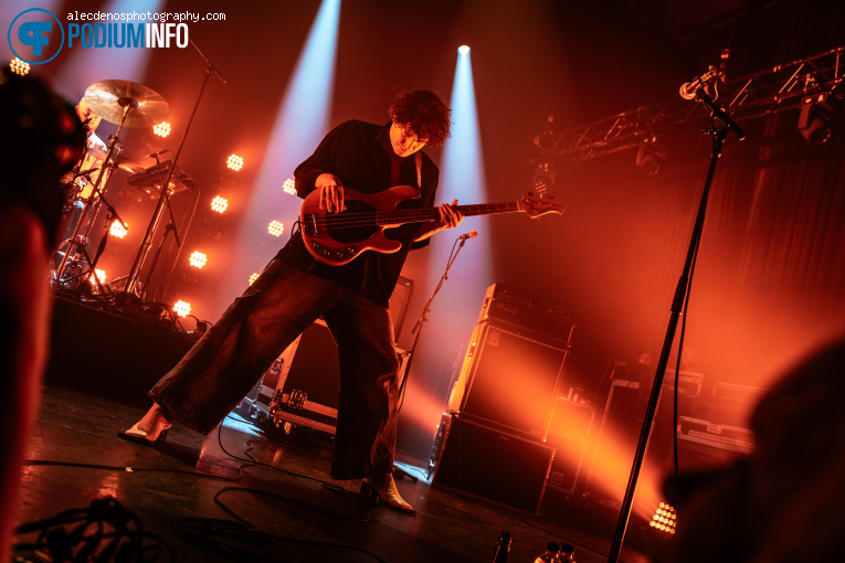 The Vices op The Vices - 20/11 - Paard foto