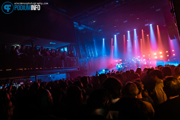 The Vices op The Vices - 20/11 - Paard foto
