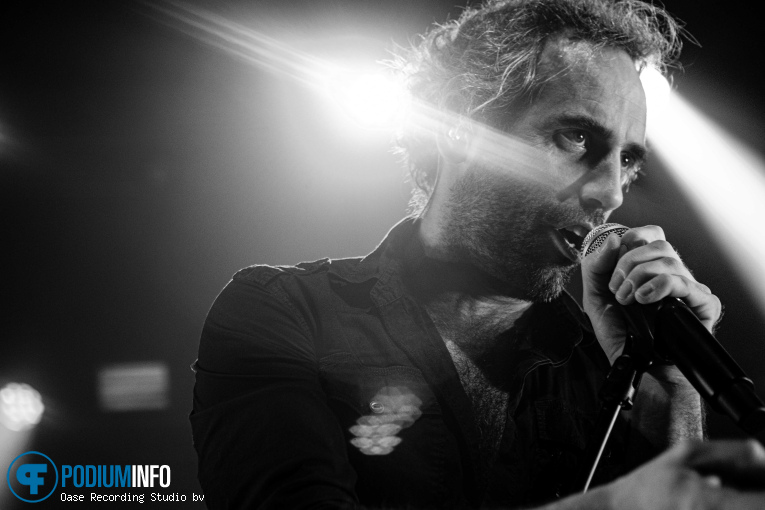 The Dutch Queen Tribute op The Dutch Queen - 20/12 - Hedon foto