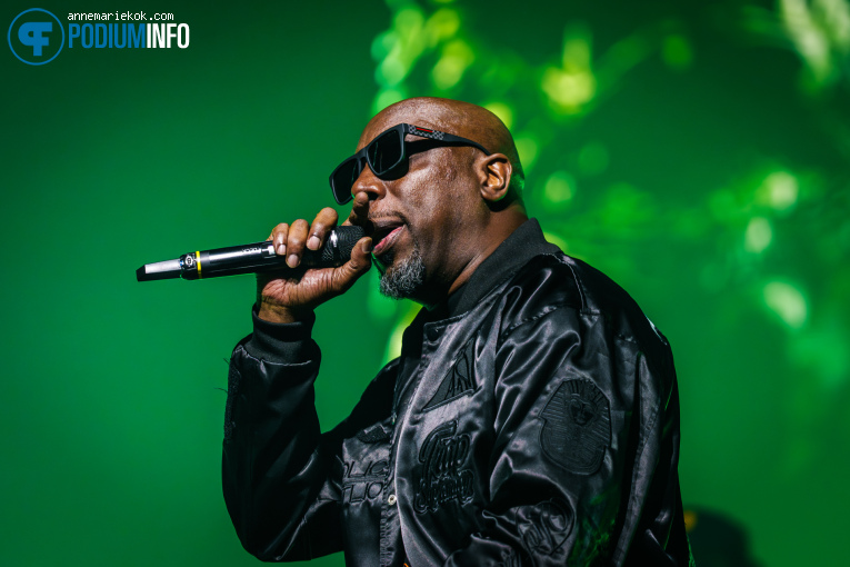 Wu-Tang Clan op Wu-Tang Clan - 02/03 Ziggo Dome foto
