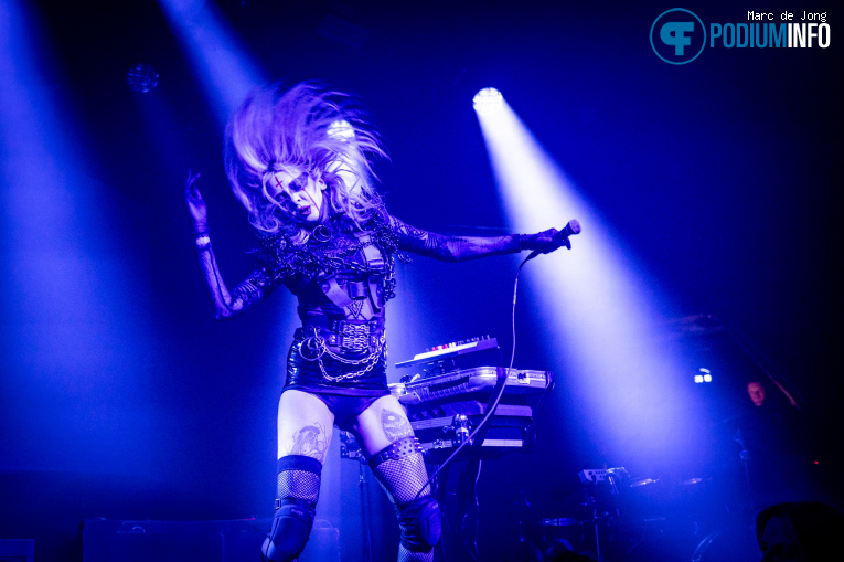 aus animaux op Iamx - 31/03 - Effenaar foto