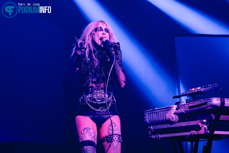 aus animaux op Iamx - 31/03 - Effenaar foto