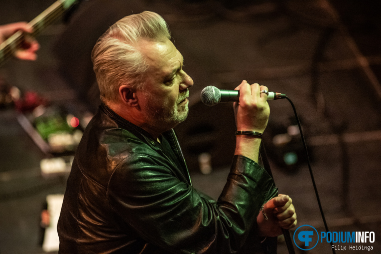 The Undertones op The Undertones - 50th Anniversary Tour - 18/04 - Paradiso foto