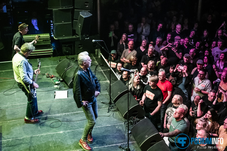 The Undertones op The Undertones - 50th Anniversary Tour - 18/04 - Paradiso foto