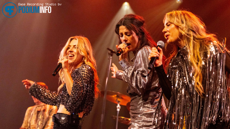 Gimme! Gimme! Gimme! - 02/05 - Hedon foto
