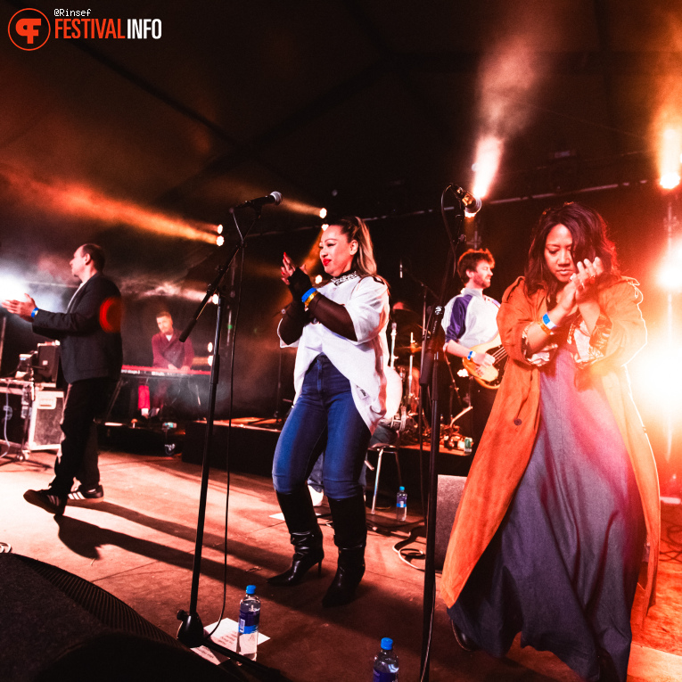 De Niemanders op Bevrijdingsfestival Overijssel 2026 foto