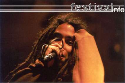 Foto Green Lizard op Artquake 2001 Foto's