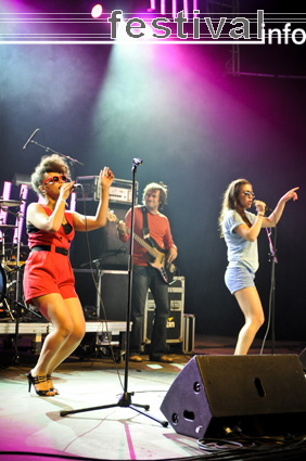 BEEhives op Feest in het Park 2009 foto