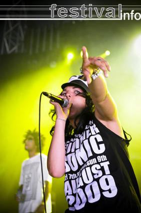 The Qemists op Feest in het Park 2009 foto