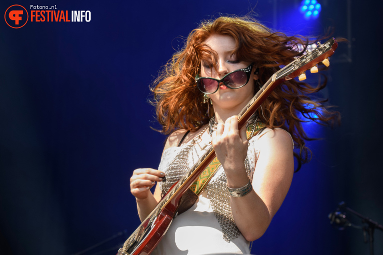 Die Spitz op Pinkpop 2026 - zondag foto