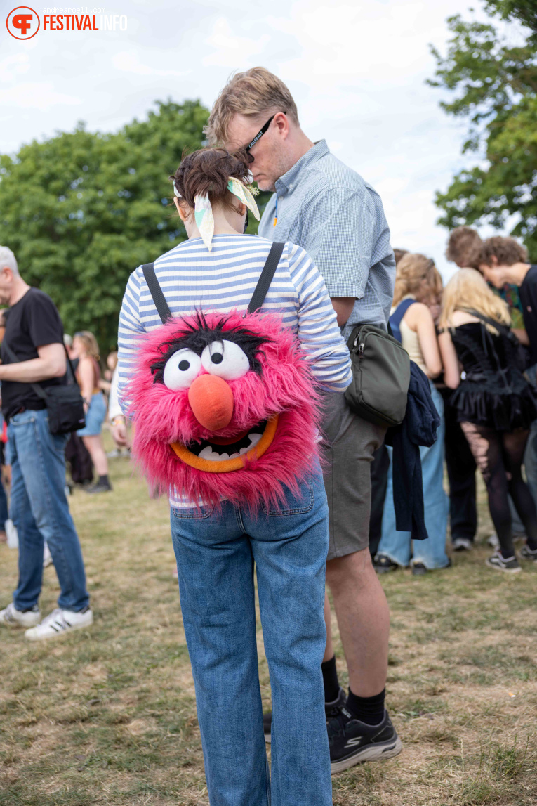 Roskilde Festival 2026 foto