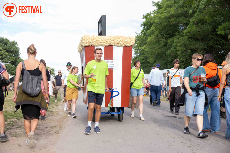 Roskilde Festival 2026 foto