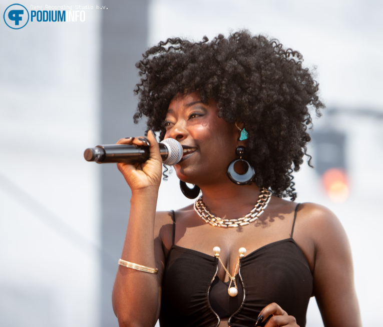 Nile Rodgers & Chic op Nile Rodgers & Chic - Royal Park Live - 09/07 - Paleis Soestdijk foto