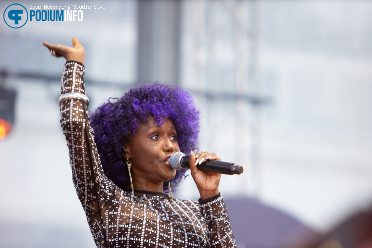 Nile Rodgers & Chic op Nile Rodgers & Chic - Royal Park Live - 09/07 - Paleis Soestdijk foto
