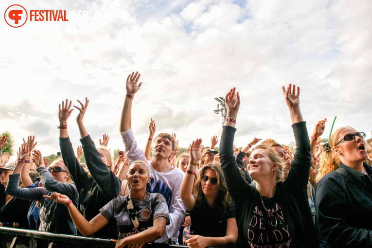 Down the Rabbit Hole 2026 - zondag foto
