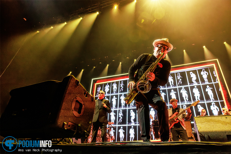 Madness op Madness - 07/07 - AFAS Live foto