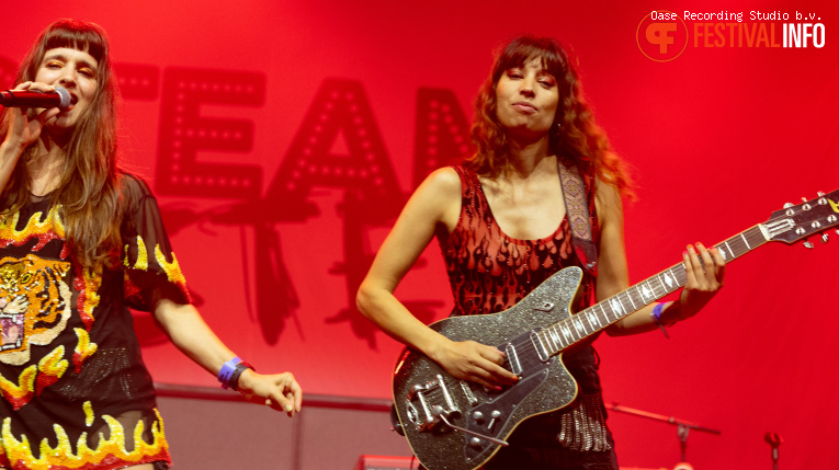 Steam Sister op Dicky Woodstock 2026 foto