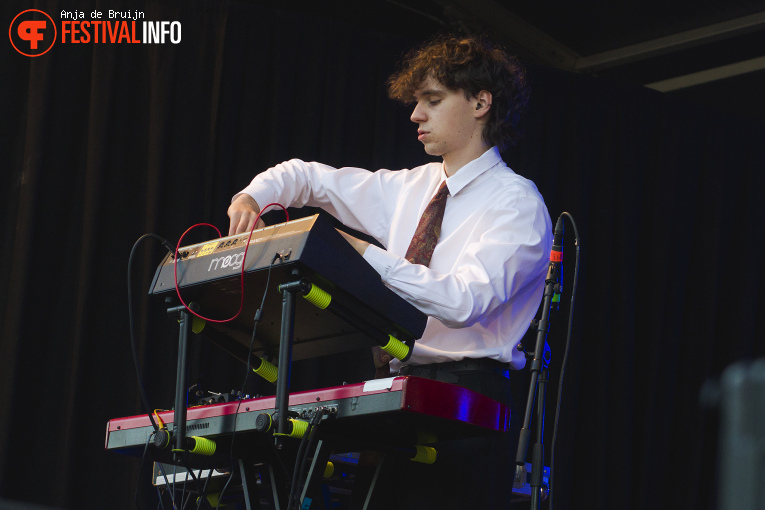 Grote Geelstaart op Waterpop 2026 foto