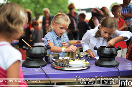 Zomerparkfeest 2009 foto