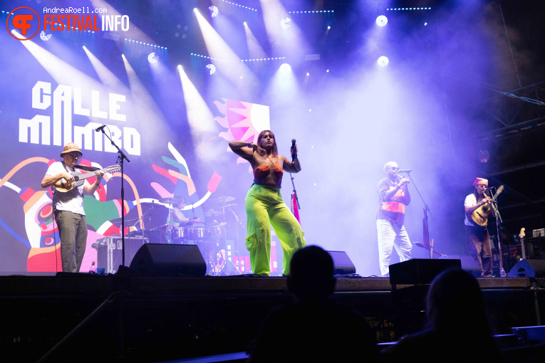 Calle Mambo op Sziget 2026 - Dinsdag foto