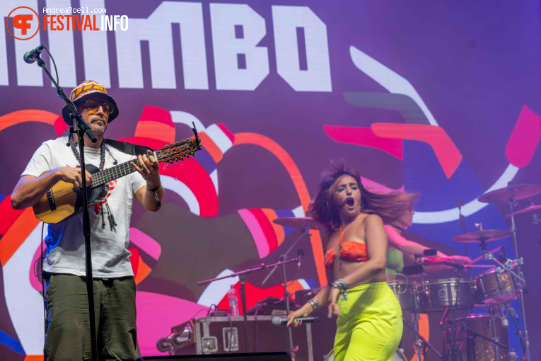 Calle Mambo op Sziget 2026 - Dinsdag foto