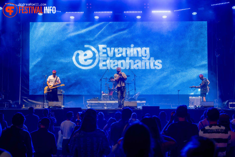Evening Elephants op Sziget 2026 - Zaterdag foto