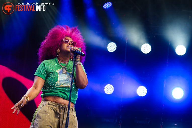 Kelis op Lowlands 2026 - Zaterdag foto