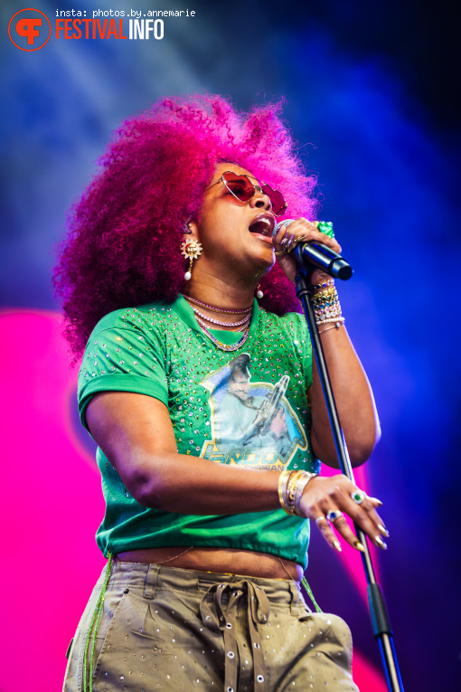 Kelis op Lowlands 2026 - Zaterdag foto