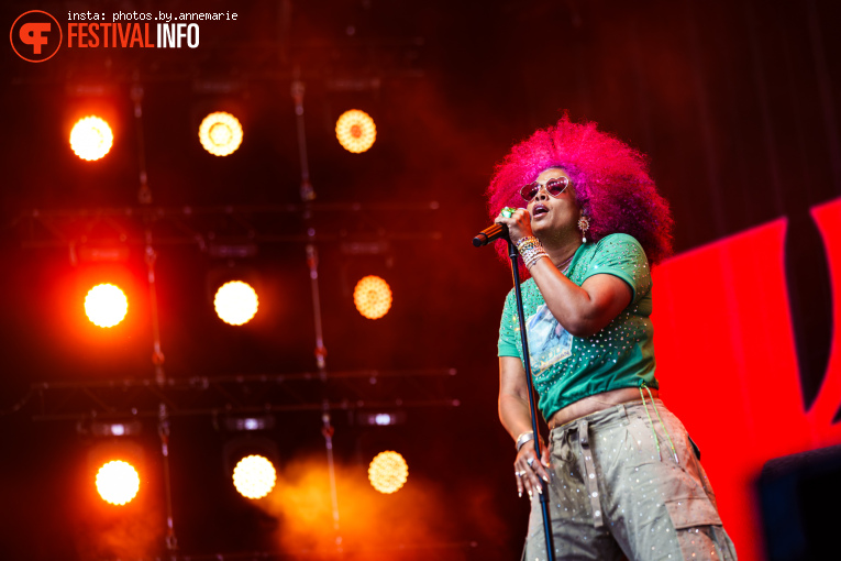 Kelis op Lowlands 2026 - Zaterdag foto