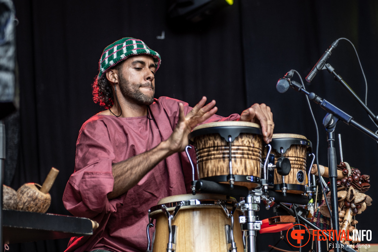 The Bird Experience op Culemborg Blues 2026 foto