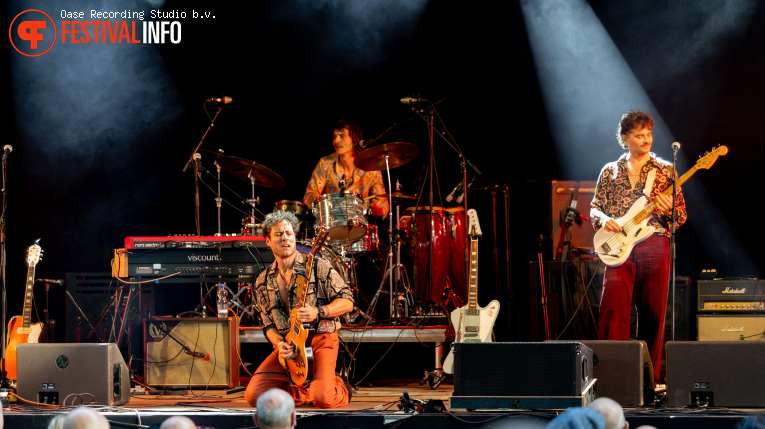 The Cinelli Brothers op Blues Festival De Doolhof 2026 foto