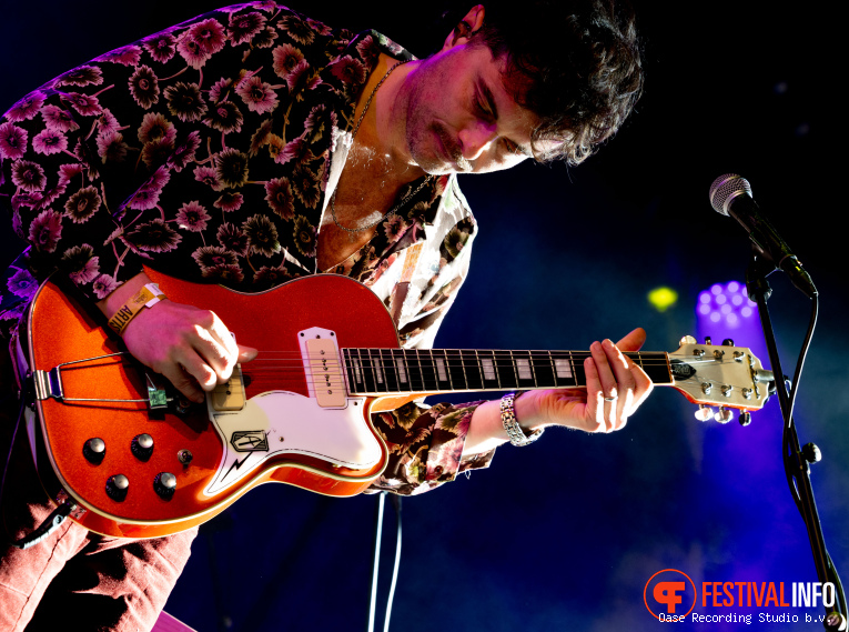The Cinelli Brothers op Blues Festival De Doolhof 2026 foto